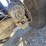 2007-mack-cl713-image-80