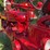 1953-farmall-super-m-image-27