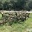john-deere-1010-image-1