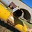 mayrath-55'x8"-unloading-auger-image-14