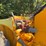 minneapolis-moline-big-mo-500-image-17