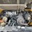 deere-317g-image-9