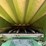 1982-john-deere-6620-image-15