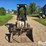 bobcat-310-image-2