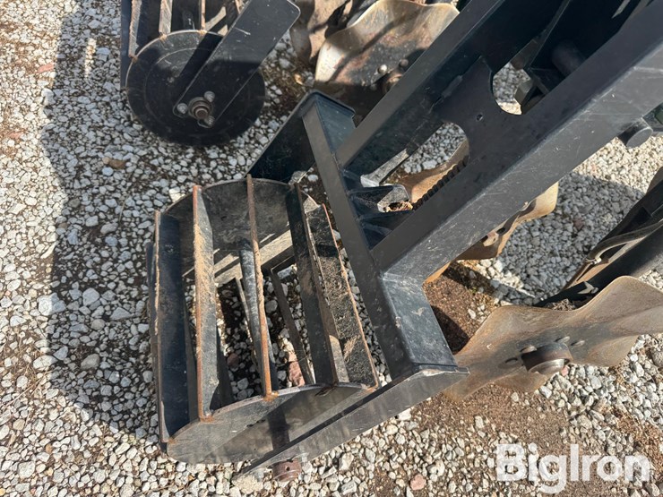 2019-orthman-1tripr-image-15