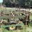 john-deere-1010-image-13