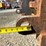 caterpillar-3208-image-44