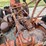 allis-chalmers-wd45-image-15