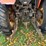 zetor-7745-image-31