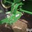 brent-657-image-15