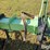 orthman-8r36-ditcher/hiller-image-19