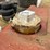 #3058-•-todd-28-gallon-gas-caddy-image-7