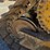 caterpillar-d6r-image-71