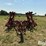 case-ih-4800-image-2