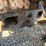 bobcat-763-image-28