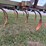 john-deere-1600-image-7