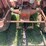 allis-chalmers-d17-image-32