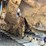 caterpillar-d4d-image-70