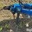 2009-landoll-6230-29-image-10