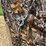 #1280-•-6'-x-6'-deer-blind-image-29