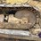 caterpillar-d4d-image-37