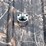 #1281-•-6'-x-6'-deer-blind-on-tower-with-steps-image-11