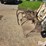 bobcat-310-image-12