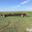 john-deere-963-image-4