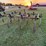 john-deere-1600-image-4