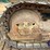 caterpillar-d4d-image-31