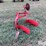 dearborn-10-161-image-7