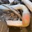 new-holland-lx885-image-29