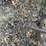 #10583-•-t/a-utility-trailer-inv#10583-image-13