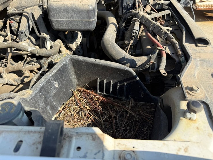 2010-ford-f150-image-31