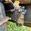 zetor-7745-image-16