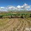john-deere-1610-image-6