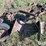 john-deere-2-image-17
