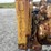 caterpillar-d4-image-16