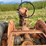 allis-chalmers-ca-tractor-image-16