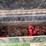 2016-pequea-g-10-gooseneck-image-7