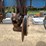 #1275-•-kinze-12'-corn-planter-image-22