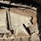 2005-caterpillar-d6n-lgp-image-61