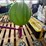 #42072-•-unused-splash-pads-image-9