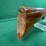 stoeger-zephyr-uplander-12ga-shotgun-image-9
