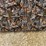 #1280-•-6'-x-6'-deer-blind-image-35