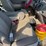 2010-ford-f150-image-44