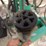 houle-6000-t/a-liquid-manure-applicator-image-13