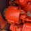 1969-allis-chalmers-one-ninety-xt-series-iii-diesel-image-25