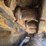 caterpillar-d7h-lgp-image-60