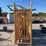cattlelac-450-image-5